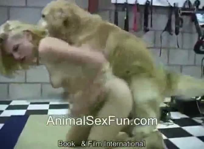 Video :Animal sex fun with busty blonde and dog